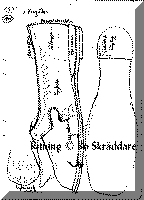 sk-vingaker2.gif (5874 byte)